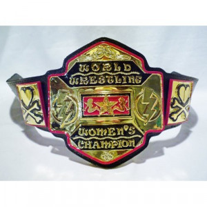 Real WWE Wrestling Championship Belts