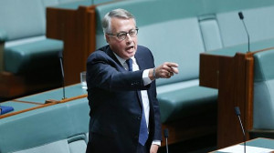 Wayne Swan copped a one hour suspension from parliament Picture Gary