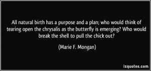 purpose and a plan; who would think of tearing open the chrysalis ...