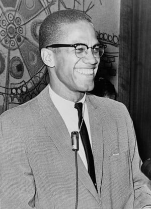 Malcolm X’s Influence on the Black Panther Party’s Philosophy
