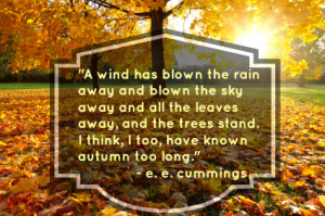 14 Fabulous Fall Quotes: Wonderful Words for Autumn!