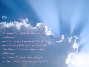 Quotes On Death HD Wallpaper 17