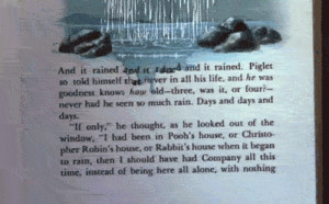 ... the pooh pooh bear water rain books strange odd bizarre neat flood