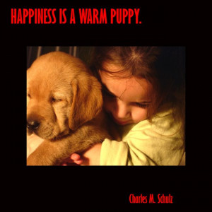happiness is a warm puppy picture quote #quote #puppy #cute