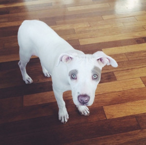 Hey Swike! When is my dad coming back? I miss her :(