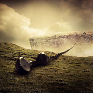 Share on Facebook Twitter