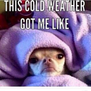 This cold weather Got me like