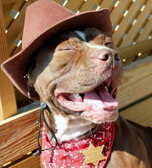 can't think why mothers love them. All babies do is leak at both ...