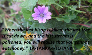 Economy and health, sustainable food production, global food vs local ...