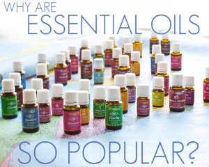 Why are essential oils so popular today? Come find out all the ...