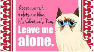 Valentine's Day from Grumpy Cat фото