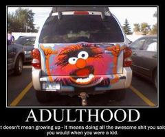 Pics For -gt; The Muppets Animal Quotes