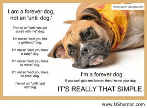 ... Give Me Forever; Than I’m Not Your Dog. It’s Really That Simple