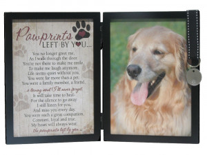 Gather up objects your dog loved or that hold a special memory for ...