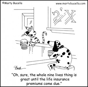 Funny Life Insurance Quotes