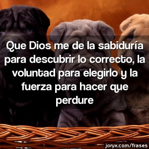 Inicio Autores Frases en imagenes Frases en Video