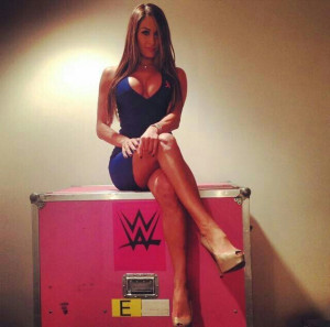 Fearless Nikki Bella