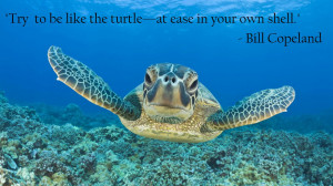 Slow Turtle Quotes http://thefabweb.com/66110/30-best-quotes-in ...