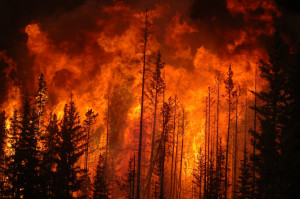 Forest Fires and Lung Health