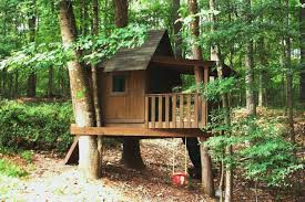 Building that Dream Tree House for the Children: The Only Guide You ...