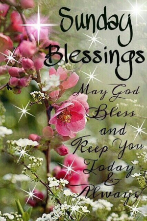 Sunday Blessings quotes quote days of the week sunday sunday quotes ...