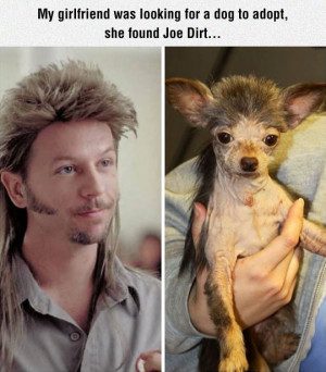 joe dirt s dog related posts to joe dirt quotes