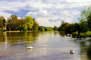 Thread: The Mighty River Thames in Flood