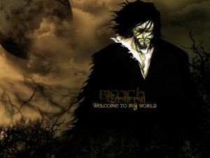 Download the Bleach anime wallpaper titled: 'Zangetsu'.