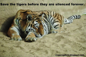 Save the Tiger Slogans Sayings and Quotes. Save the Tiger Slogans ...