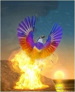 Phoenix rising from the ashes