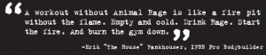 ... energy support, stack Animal Rage with Animal Pump and Animal Pak
