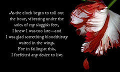 werewolf love quotes