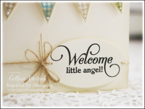 Baby Girl Congratulations Quotes. Congratulations Your New Baby Quotes ...