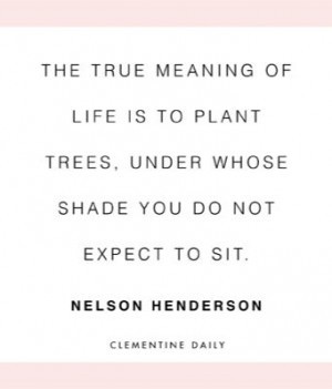 plant the trees quote
