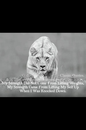 Big Cat, Female Lion, Animal Photography, Strength Quotes, Lion Quotes ...
