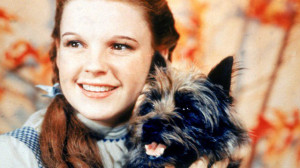 Dorothy Gale:
