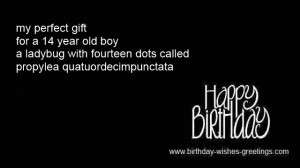 Birthday Wishes Quotes for 14 Year Olds