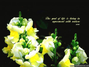 ... with Quotes view for your widescreen desktop and laptops