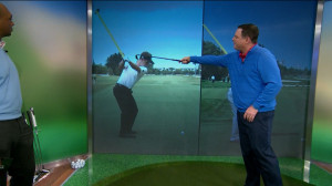 Coach change: Rymer looks at Donald's swing