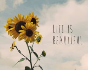 Back > Quotes For > Inspirational Quotes About Sunflowers
