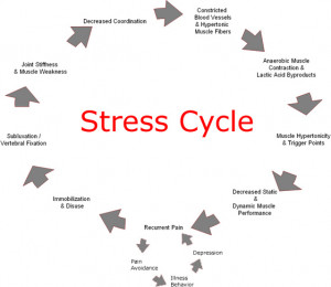 How Our Stress Cycles