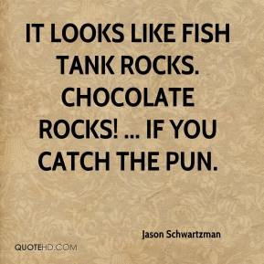 Jason Schwartzman - It looks like fish tank rocks. Chocolate rocks ...