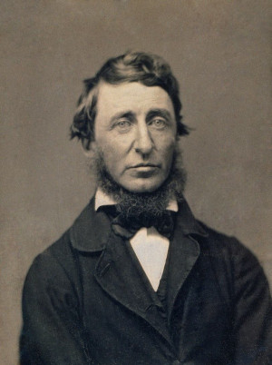 Video: Henry David Thoreau’s Tiny Cabin and Simple Life at Walden