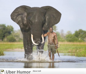 What a life ~ African Elephant & Mahout