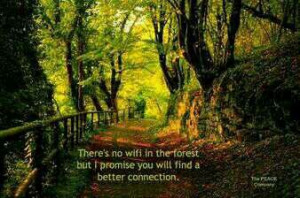 Peace and serenity.... #QuoteForests, Paths, Amazing Pictures, Nature ...