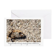 Dead Fish Happy Birthday Greeting Card for