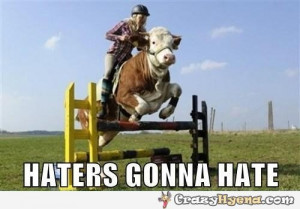 Cow Riding Bike Motorcycle Funny Animals Pictures Stunts Pics