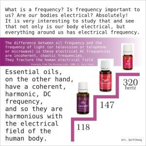 My member # is 1477222 frequency and oils1