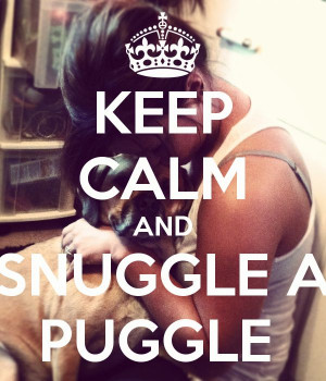 Puggles Quotes, Puggles Dogs, Puppys Puggles, Puggles Funnies ...
