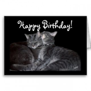 Happy Birthday Cat Spa...